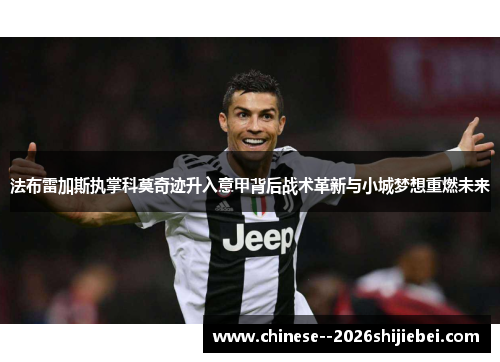 法布雷加斯执掌科莫奇迹升入意甲背后战术革新与小城梦想重燃未来