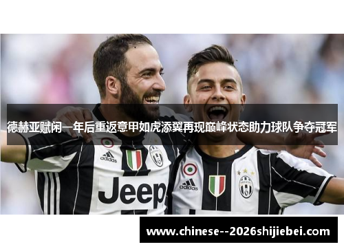 德赫亚赋闲一年后重返意甲如虎添翼再现巅峰状态助力球队争夺冠军