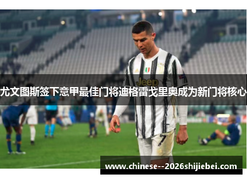 尤文图斯签下意甲最佳门将迪格雷戈里奥成为新门将核心